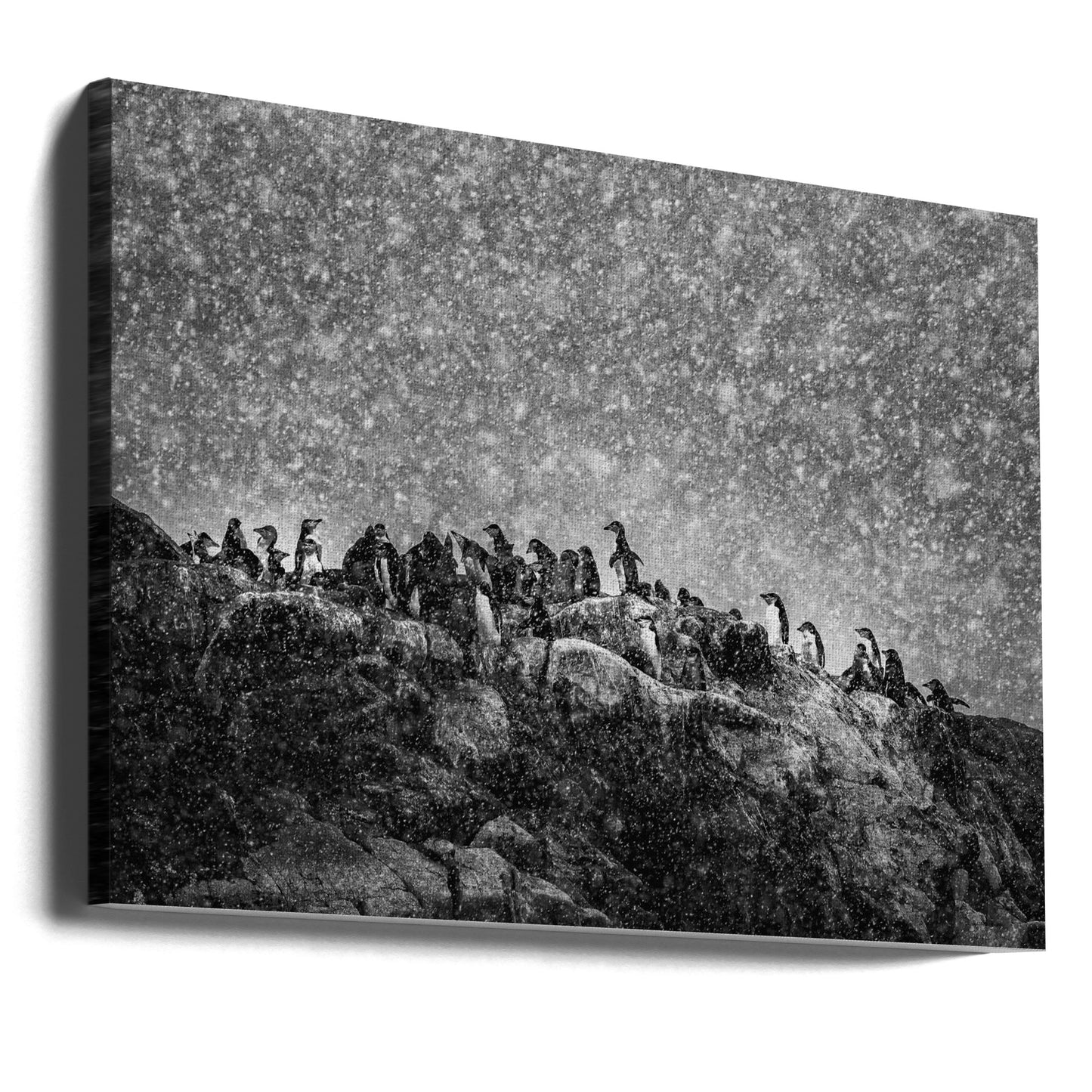 Antarktisk storm | Canvas