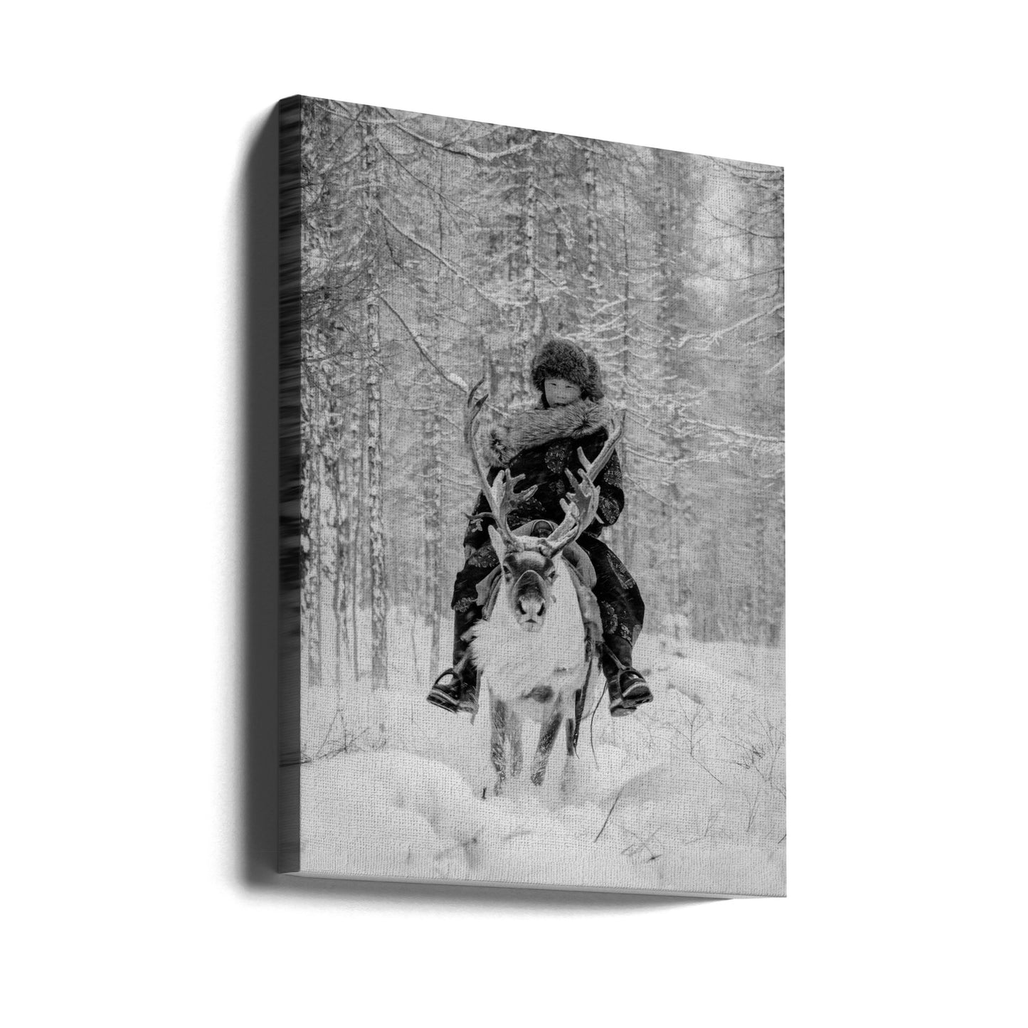 N. 123 | Stampe su Tela