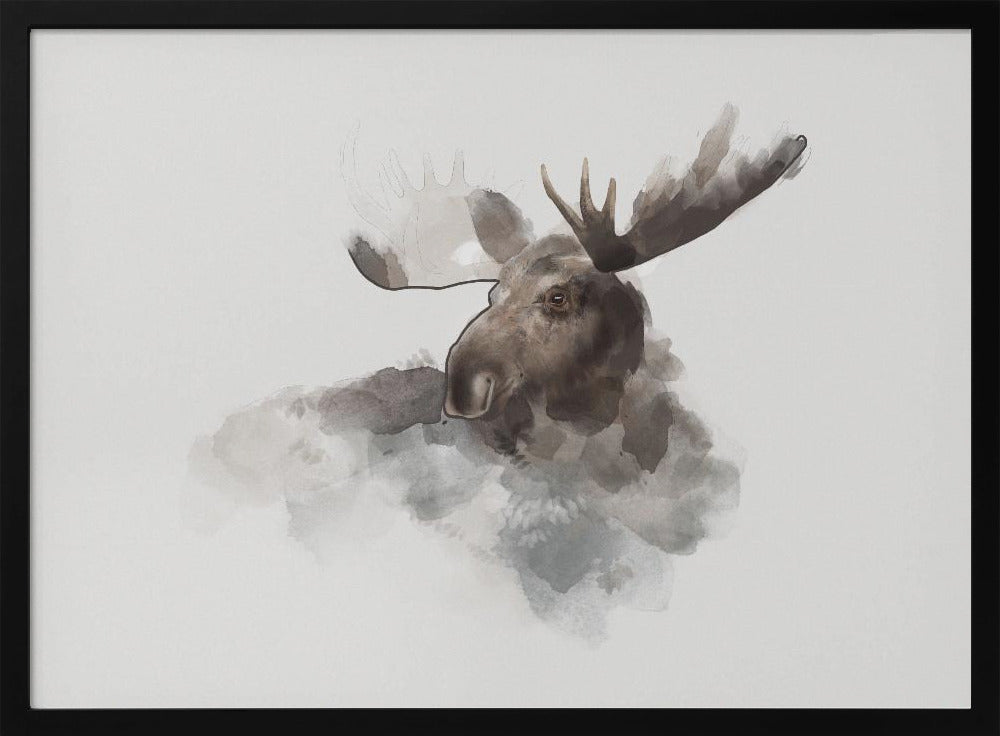 Elk | Poster