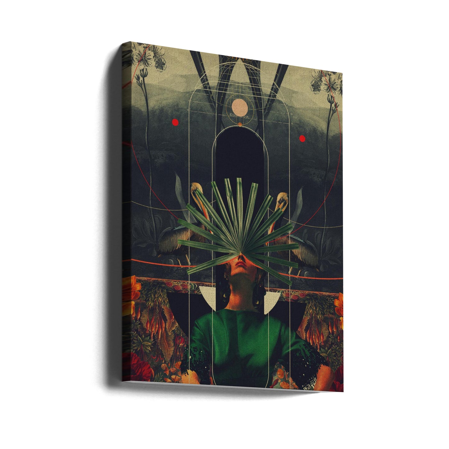 She Saw the Equator | Canvas