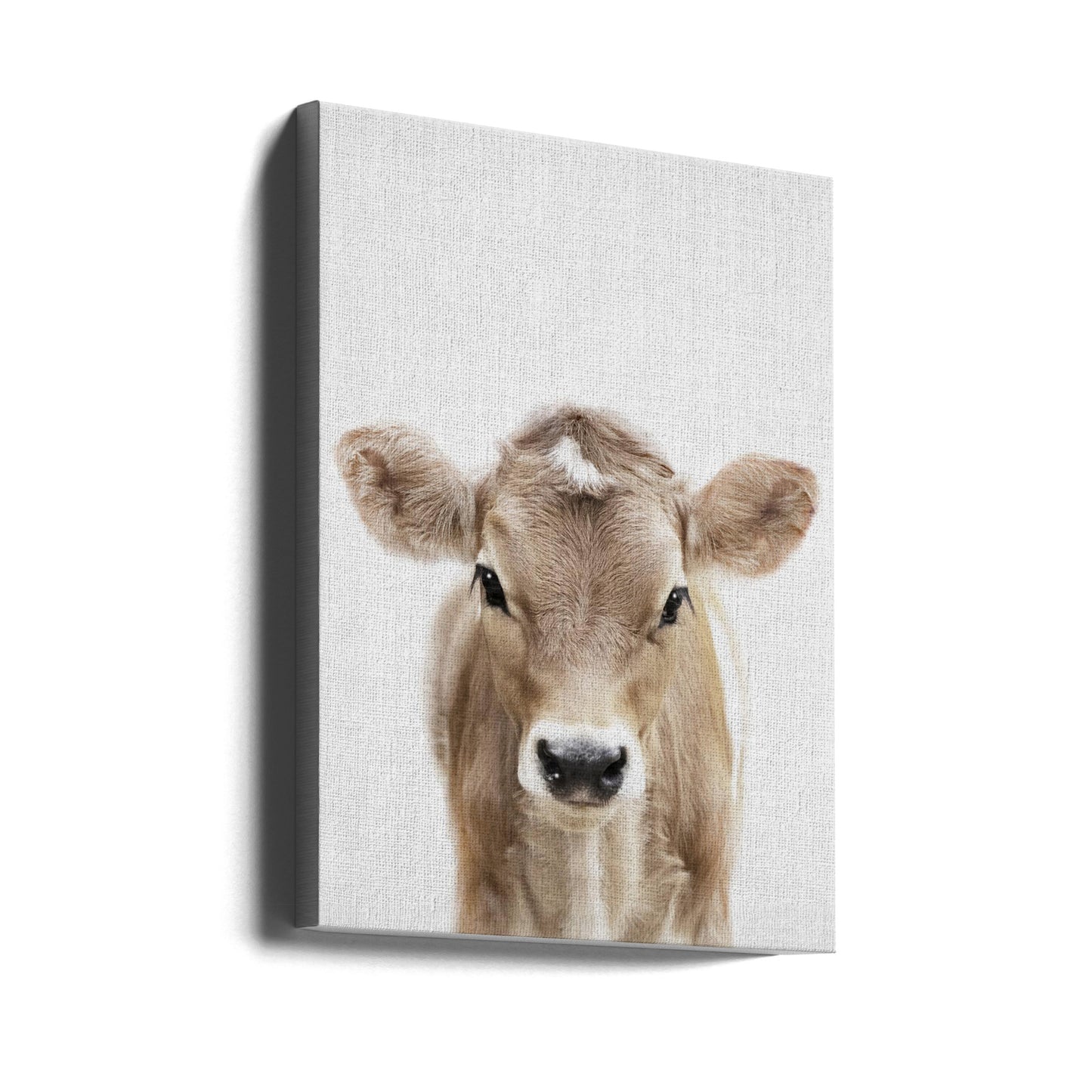 Peekaboo Baby Cow | Wydruki na łótnie