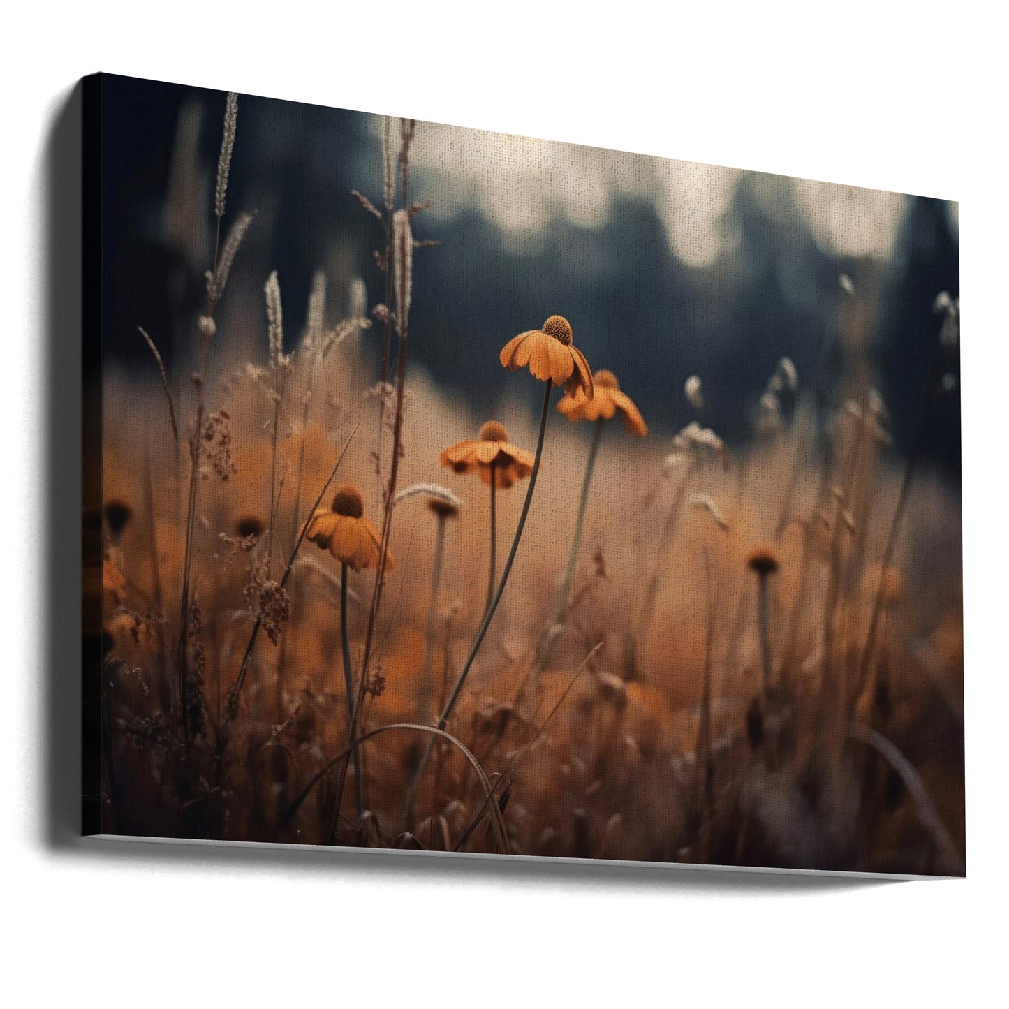Apelsinmargaritas | Canvas