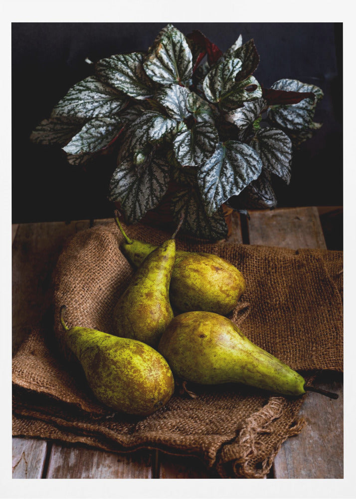 pears | Poster