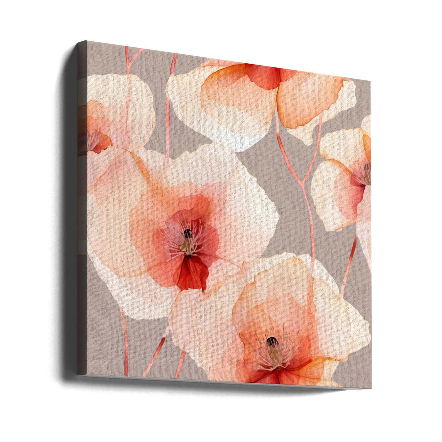 Sf 4 Transparent Fl 1 Grey | Canvas
