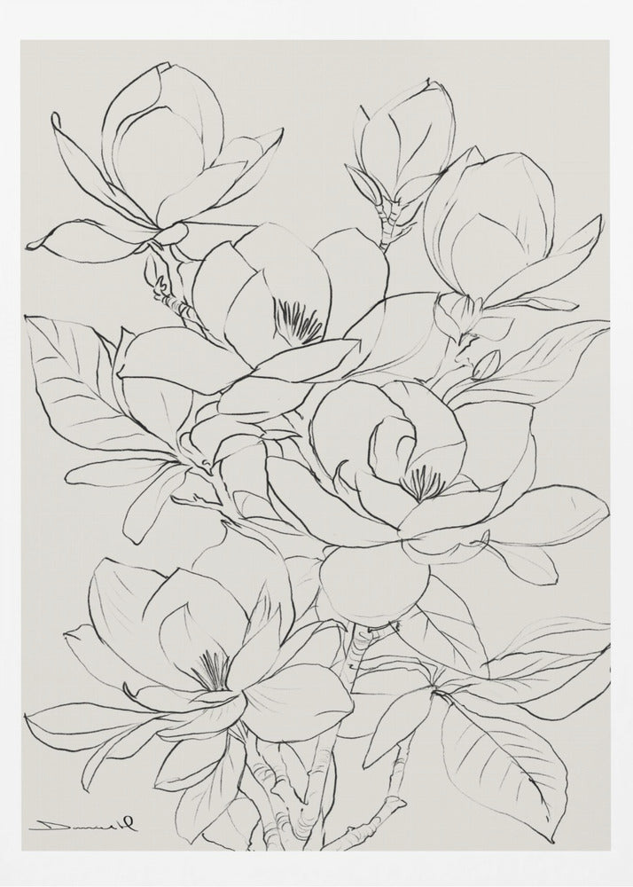 Magnolienbaum | Poster