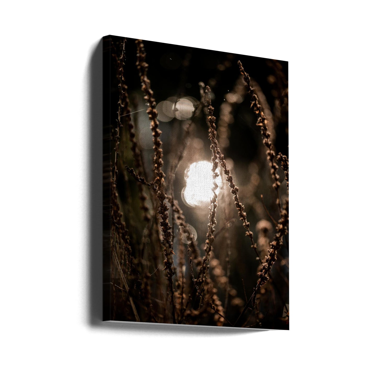 Lumières d'automne 2 | Tableaux sur Toile
