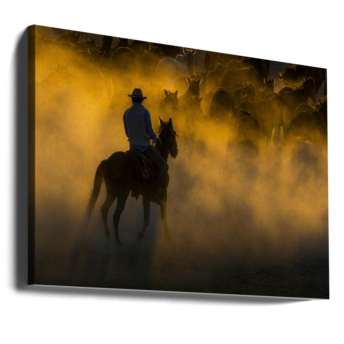 cowboy og hester | Lerretsbilder