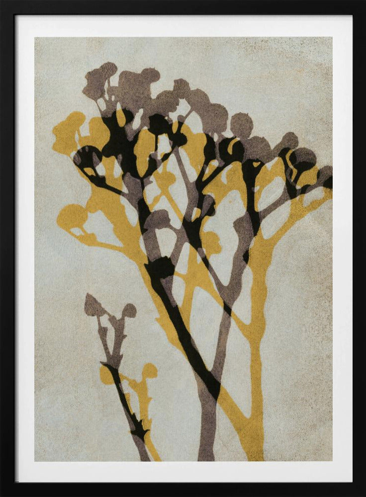 Echoes of Gypsophila | Poster