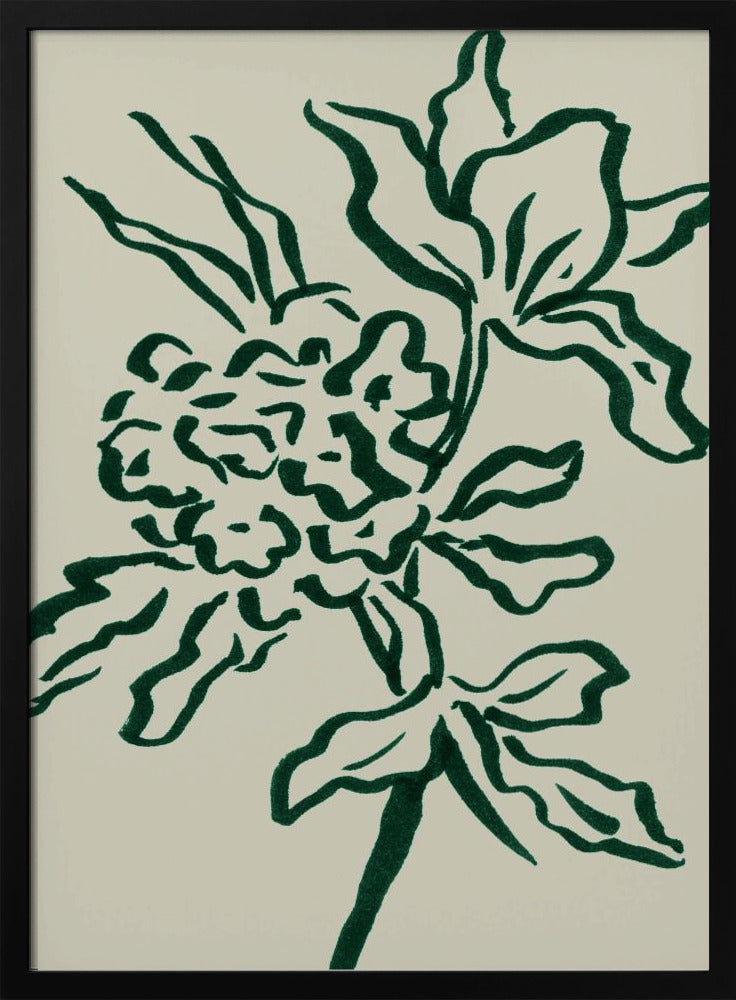 Blomma | Poster