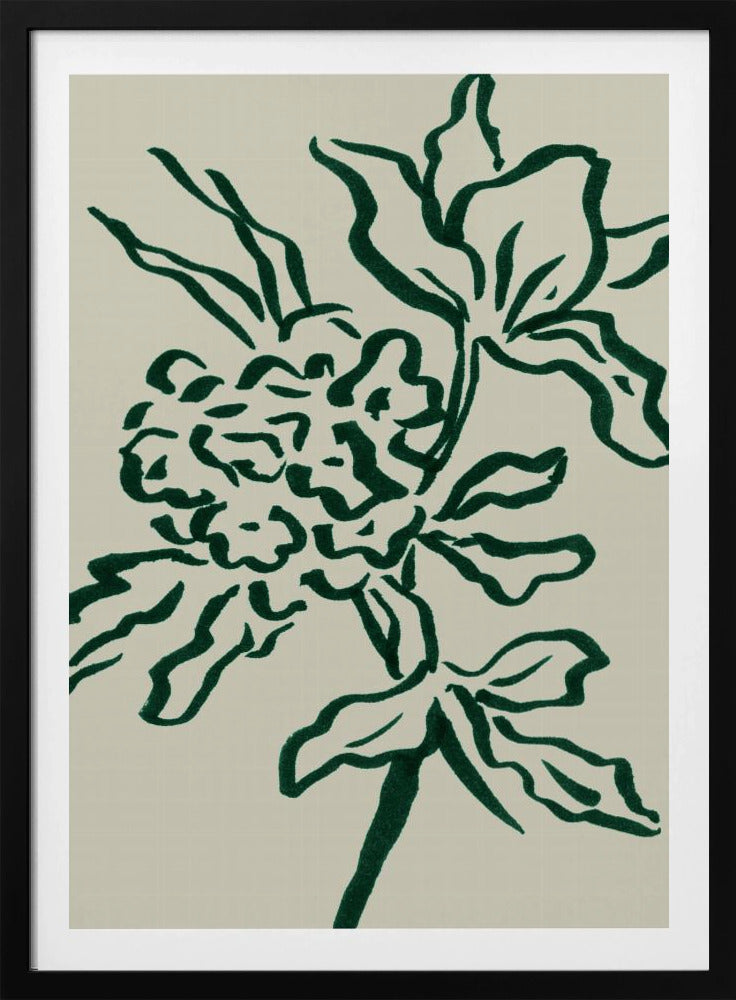 Blomma | Poster