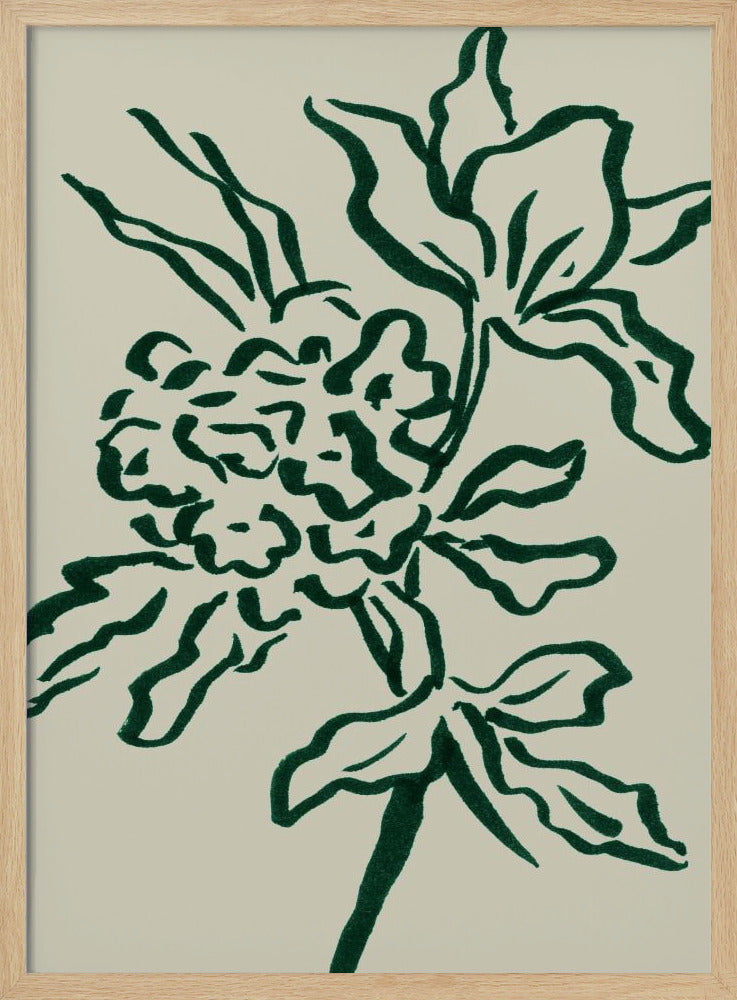 Blomma | Poster