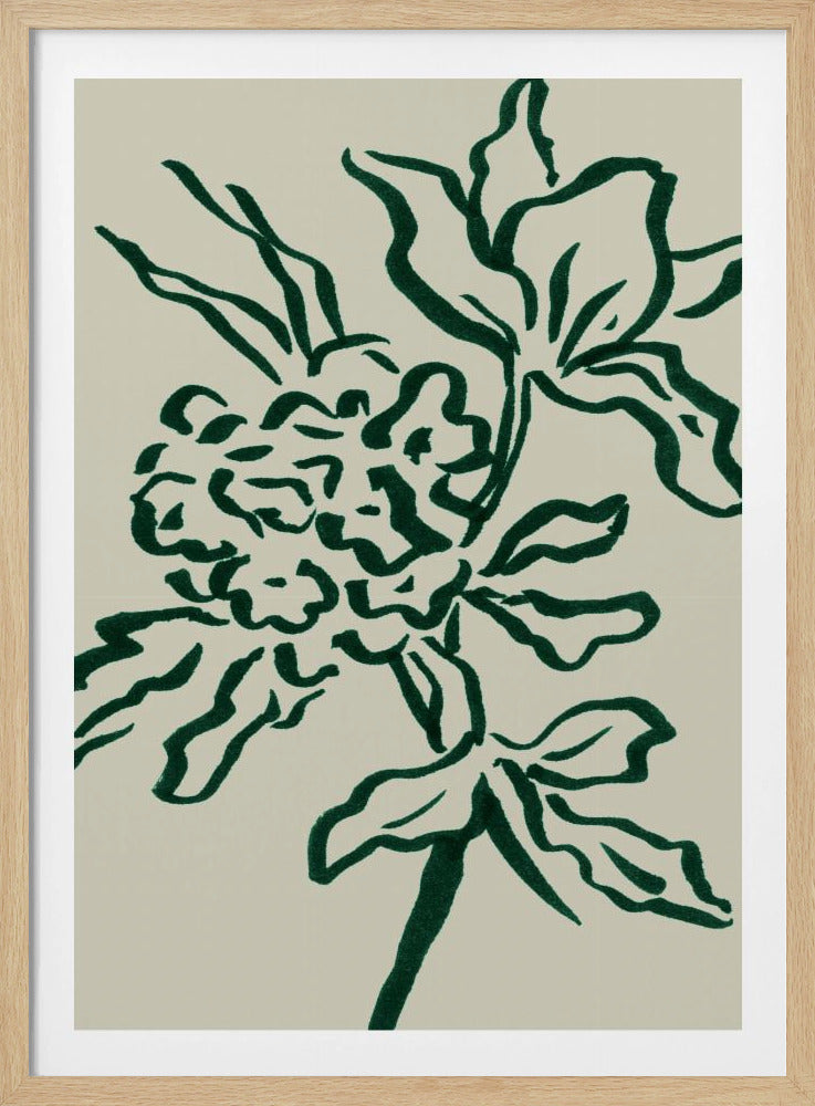 Blomma | Poster