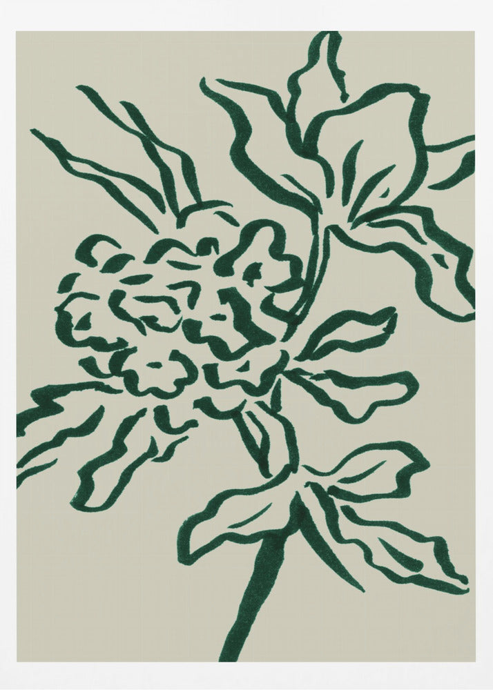 Blomma | Poster