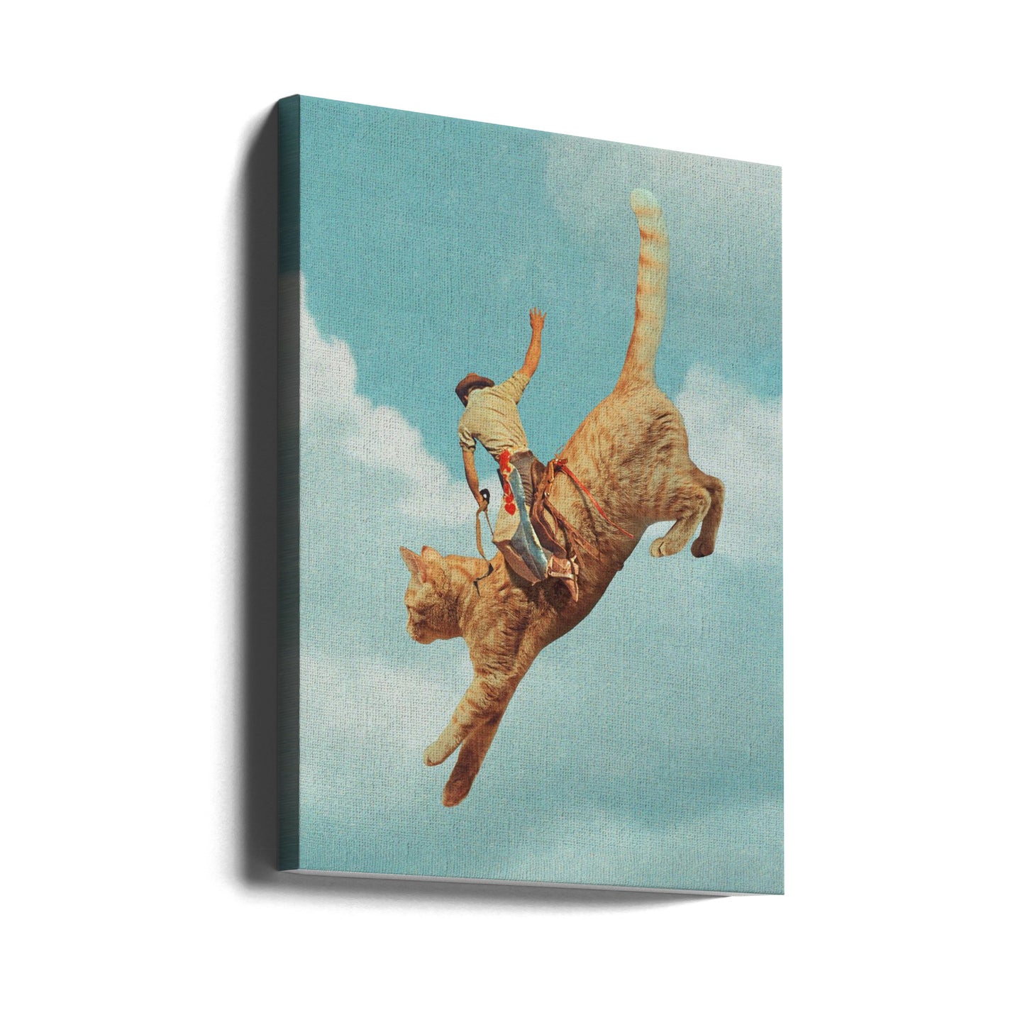 Meehaw   Rodio Cat | Canvas