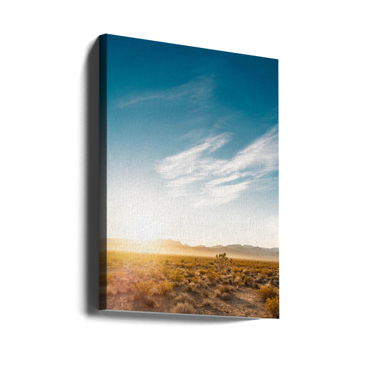Nevadan aavikon auringonnousu | Canvastaulut