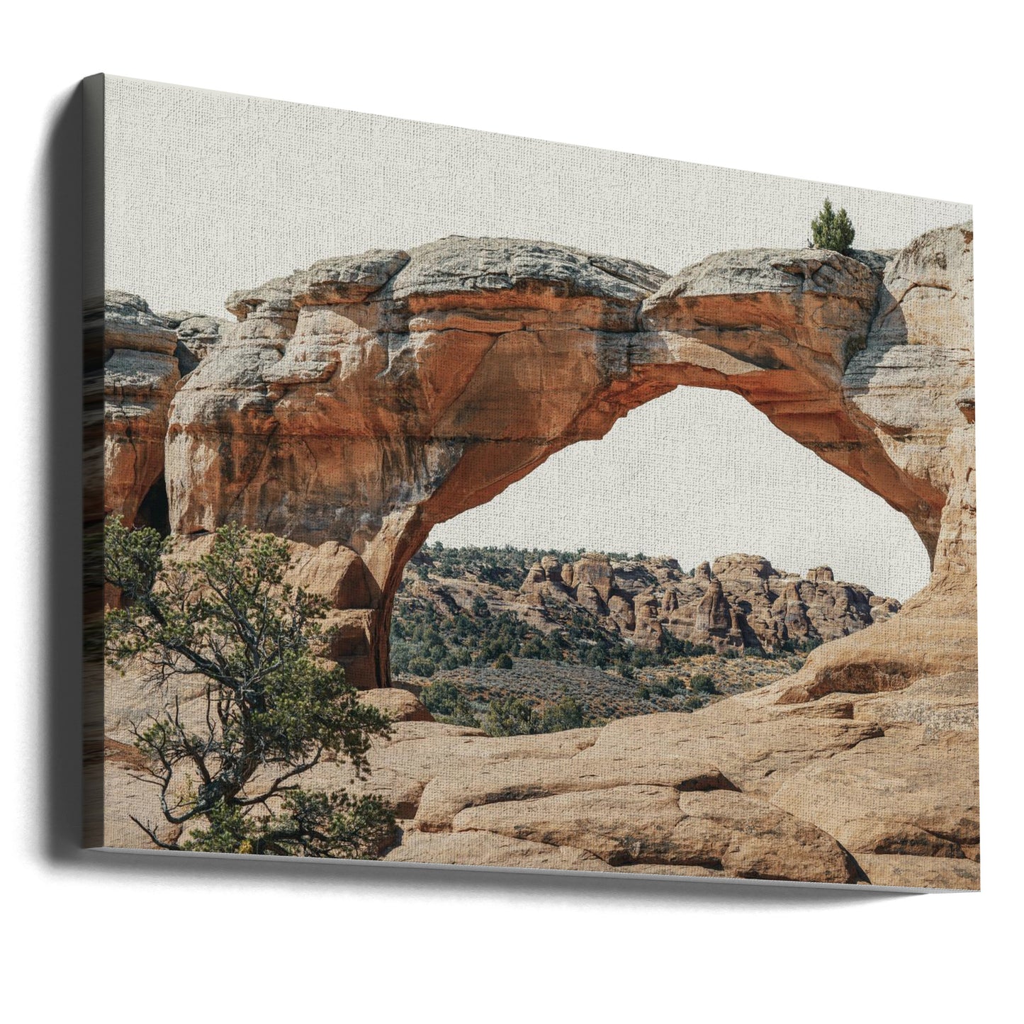 View to the West | Canvas