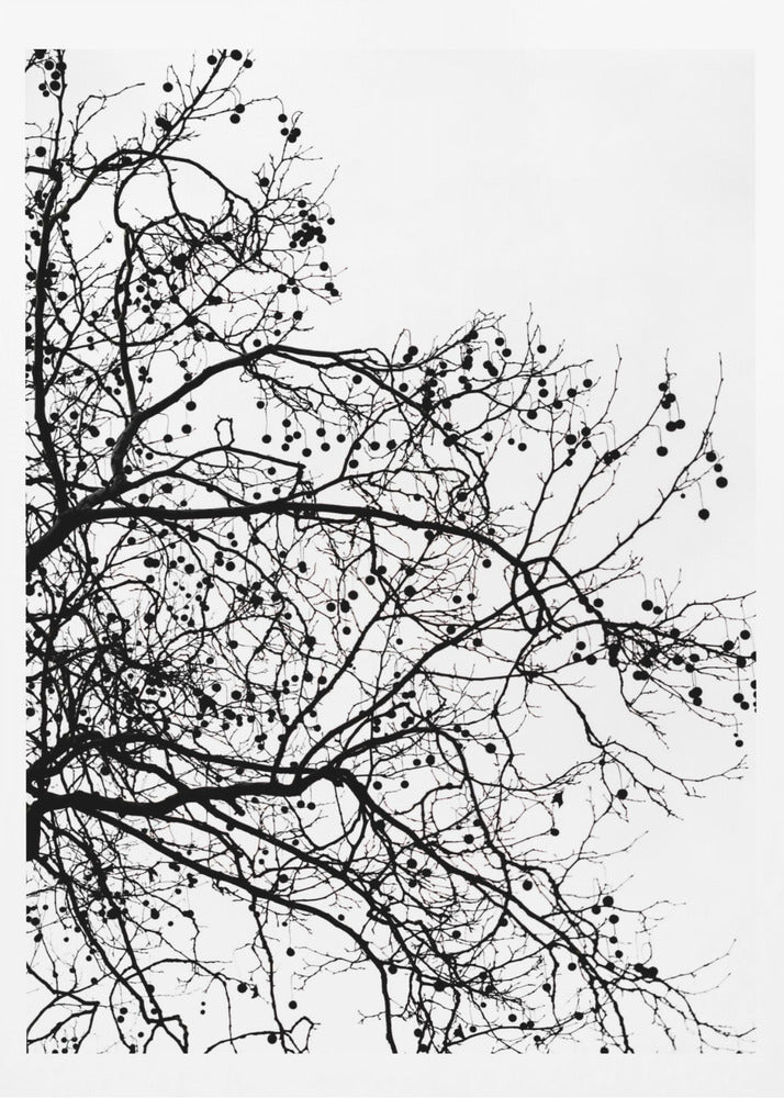 Winter Silhouettes 5 | Poster