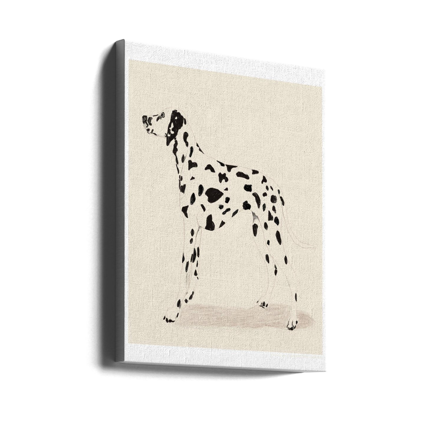 Pandc Dalmation | Canvas