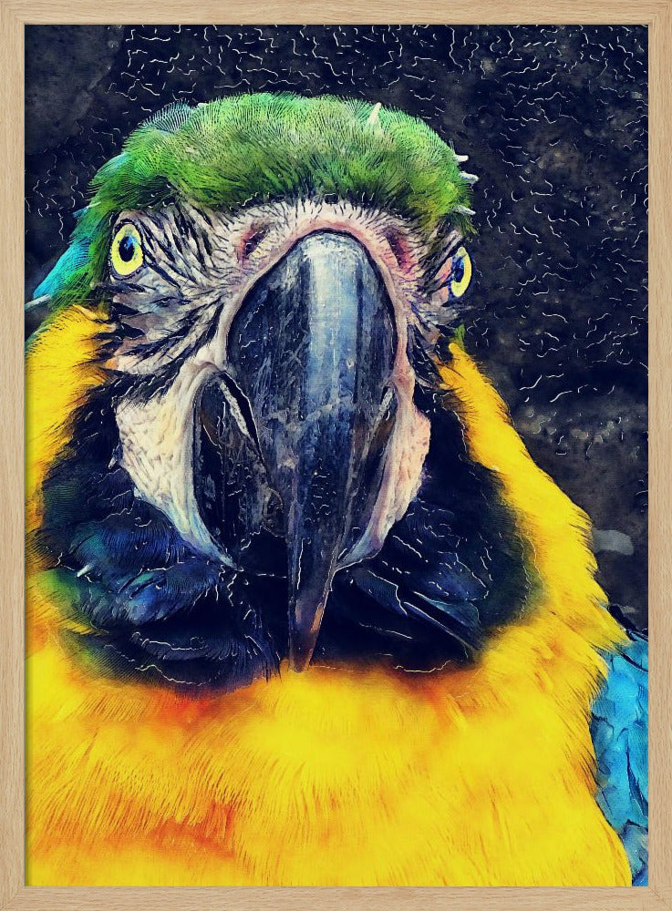 Tiere Papagei Aquarell Tierkunst | Poster