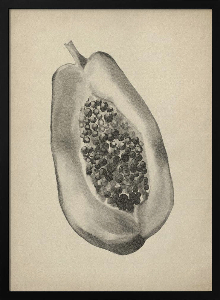 Vintage fruit botanical illustration | Poster