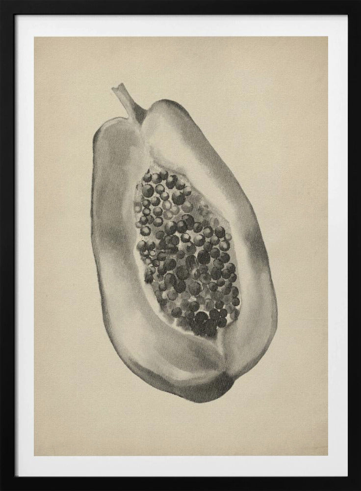 Vintage fruit botanical illustration | Poster