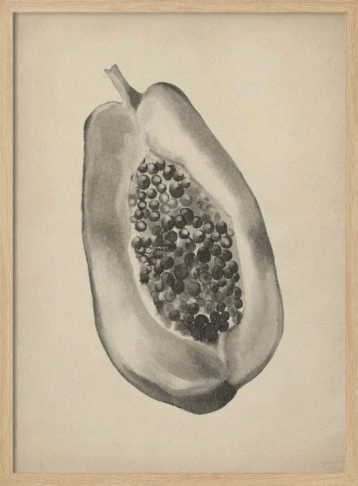 Vintage fruit botanical illustration | Poster