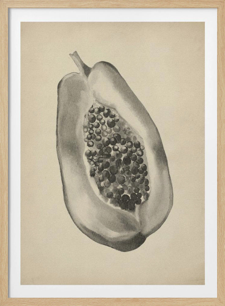 Vintage fruit botanical illustration | Poster