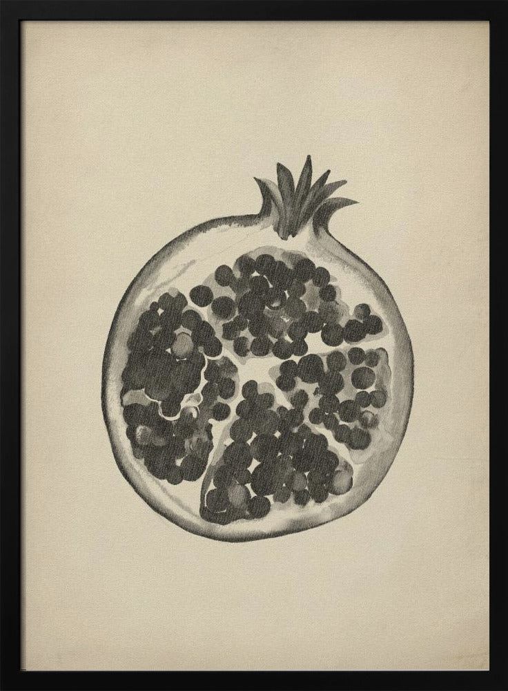 Vintage pomegranate | Poster