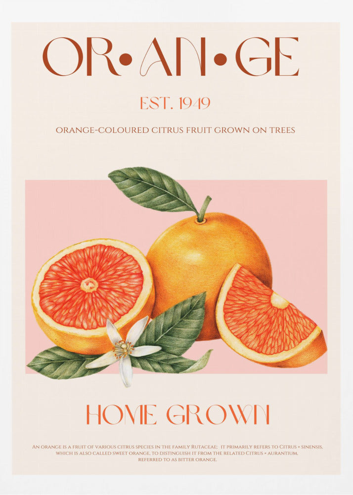 Vintage-Thema mit leuchtenden Orangen | Poster