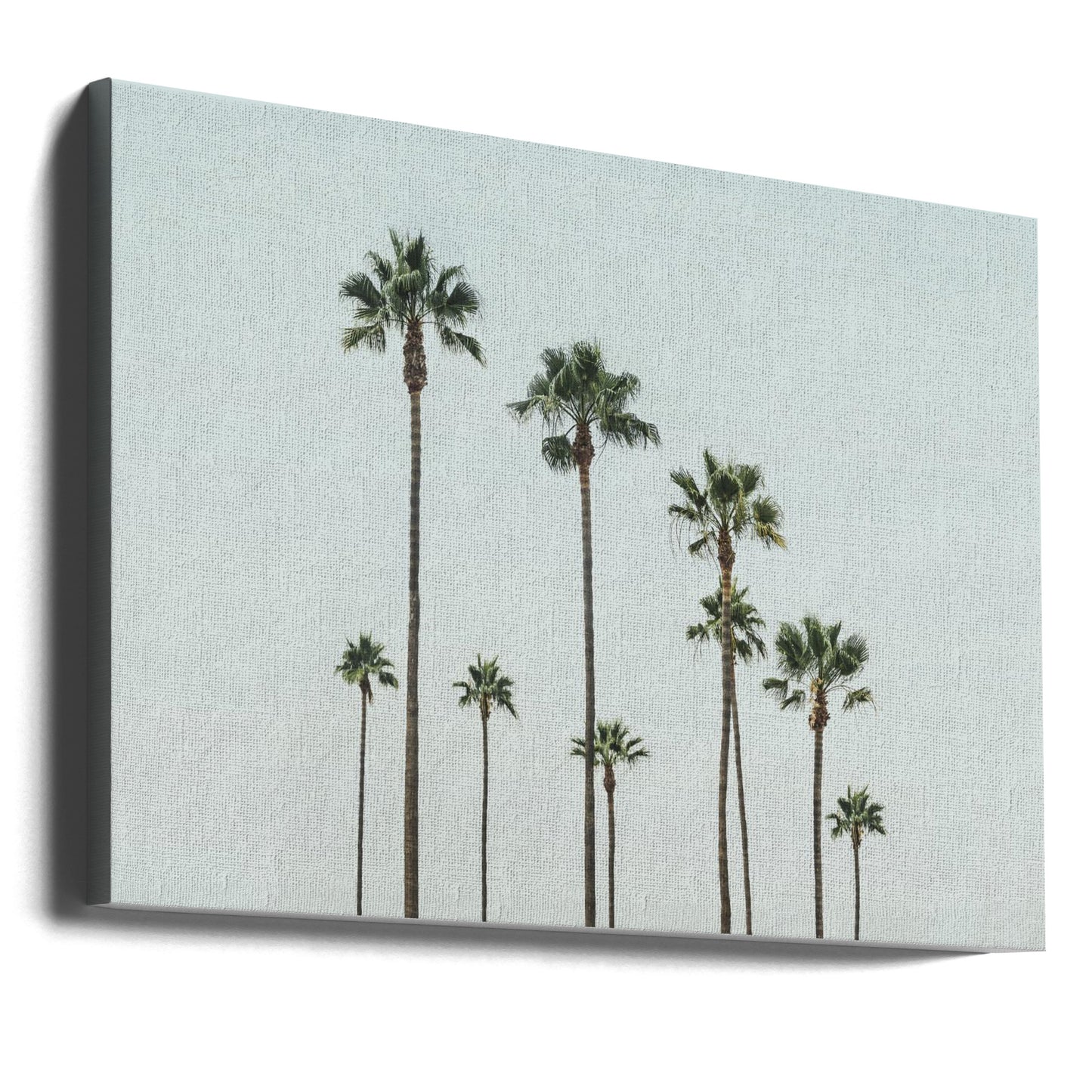 Cali Palms | Lerretsbilder