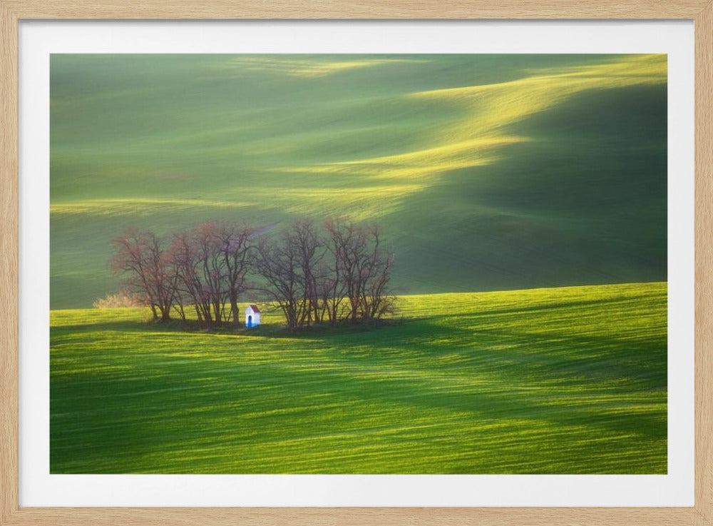 Campos... | Posters  - Impresiones de Arte