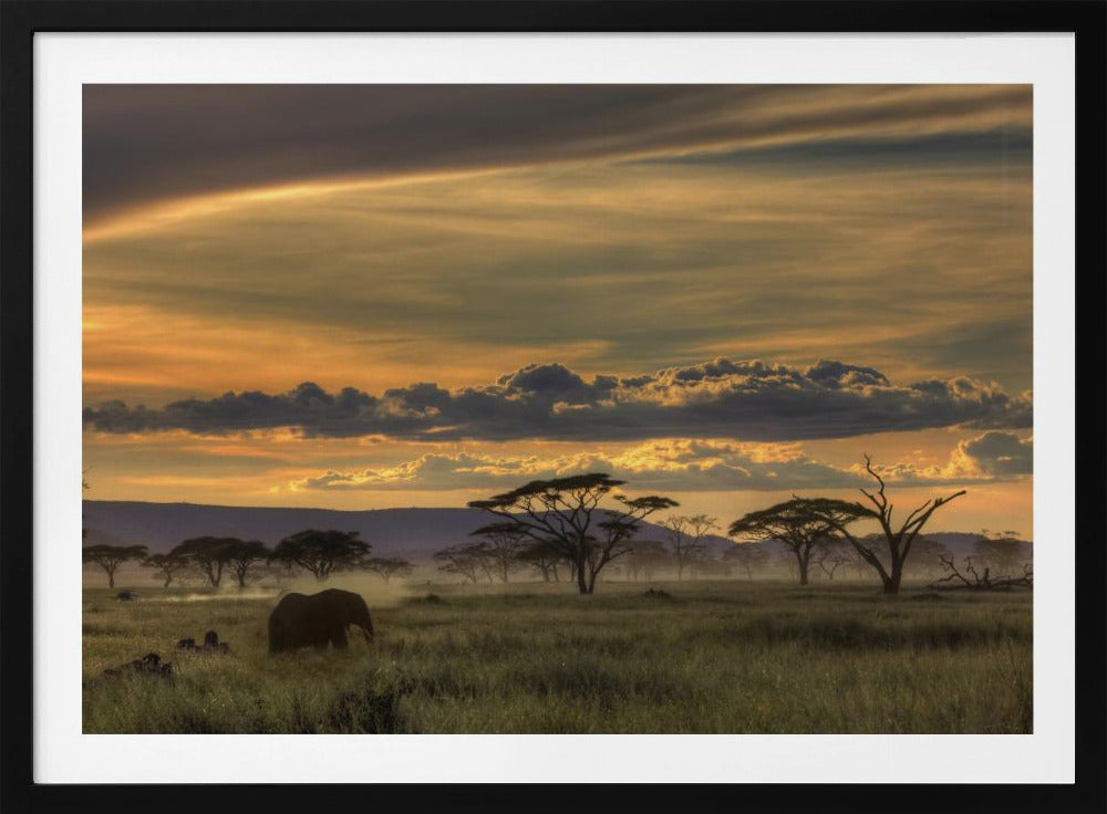 Africa | Poster - Stampe d’Arte