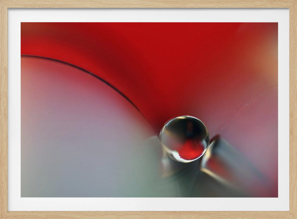 Entre | Posters - Affiche Artistique