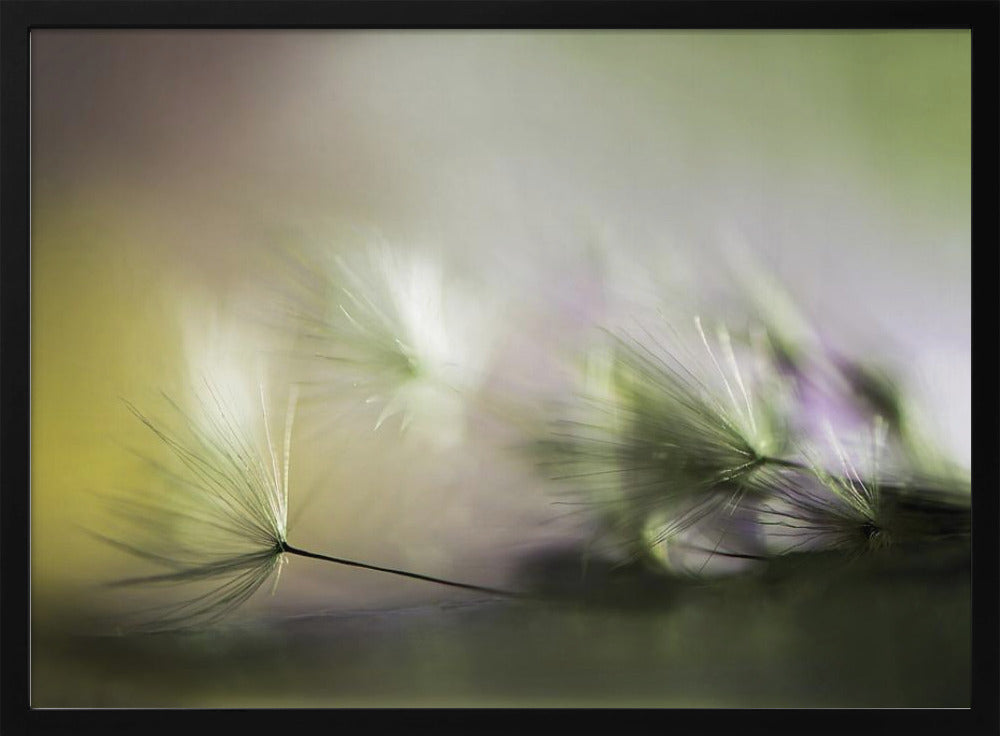Morgens | Poster - Kunstdruck