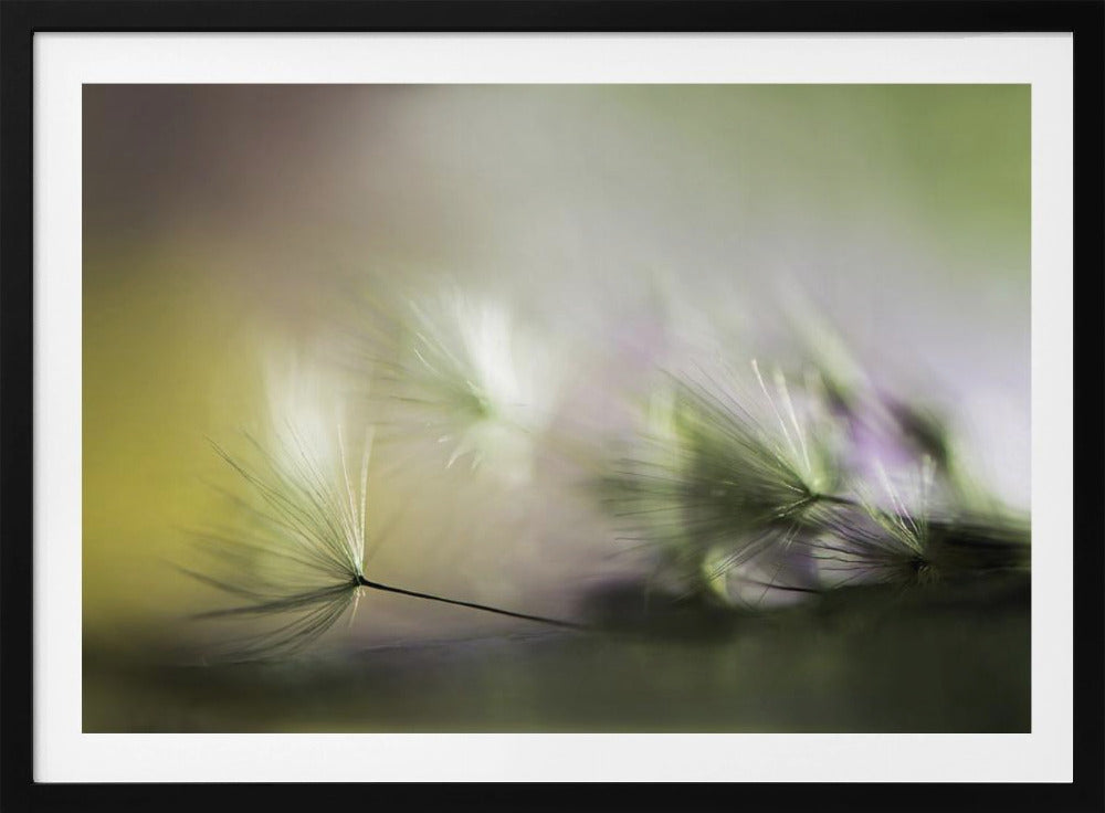 Morgens | Poster - Kunstdruck