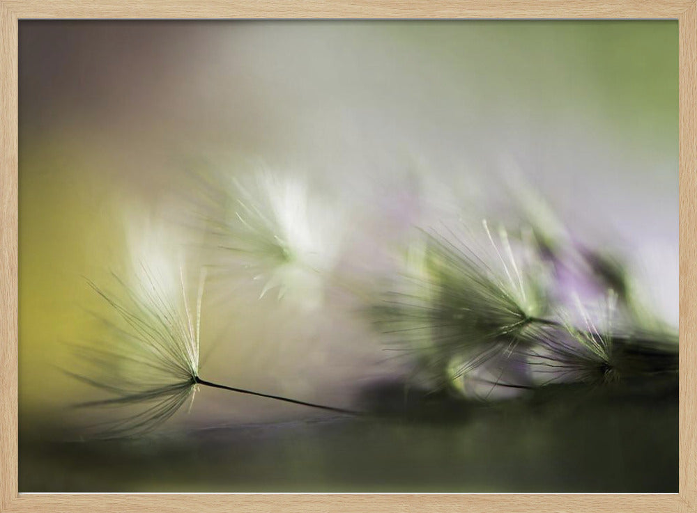 Morgens | Poster - Kunstdruck