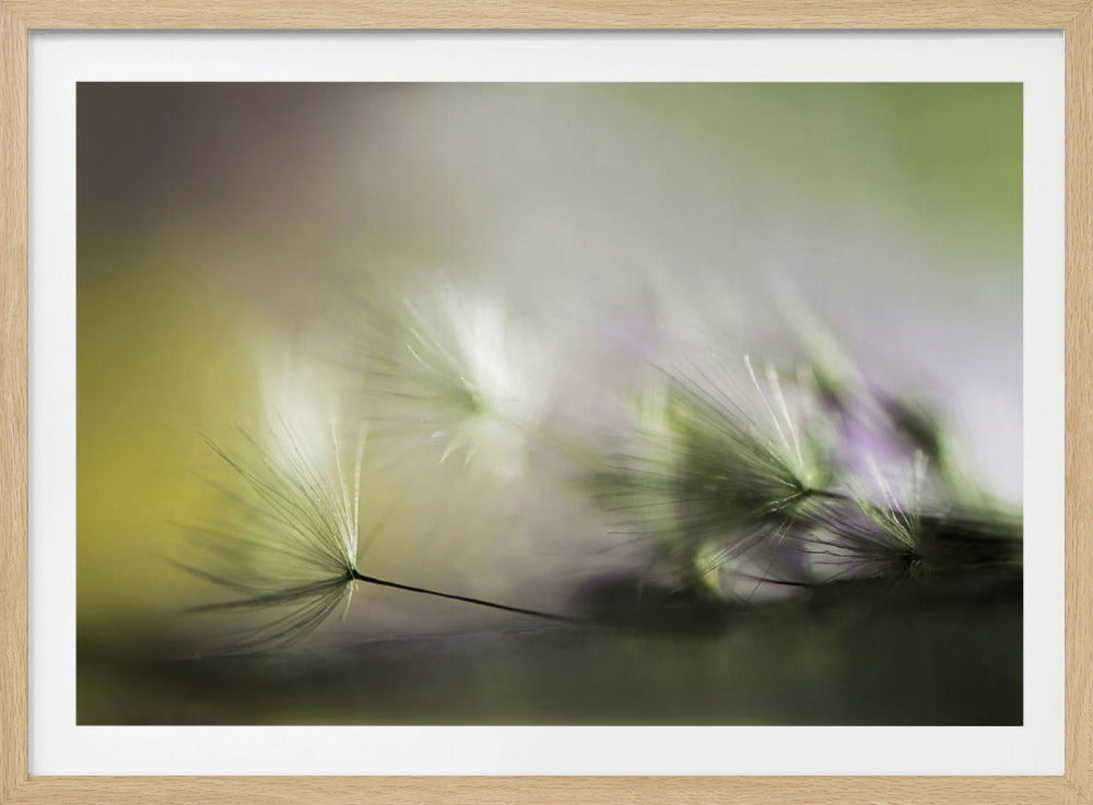 Morgens | Poster - Kunstdruck