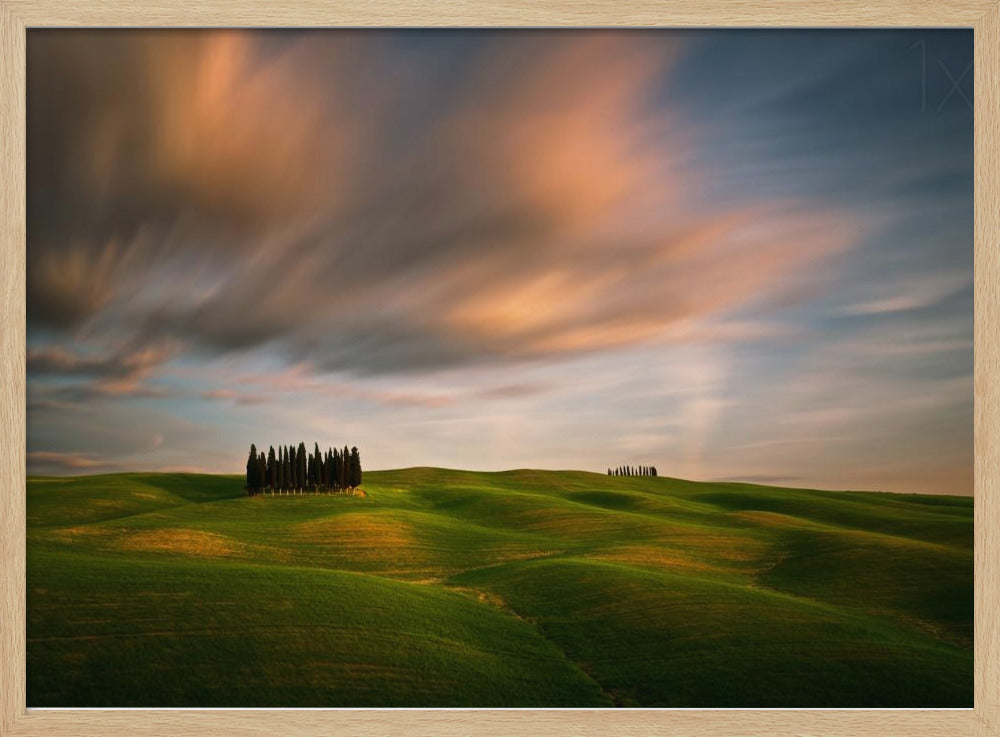 Campi... | Poster - Stampe d’Arte