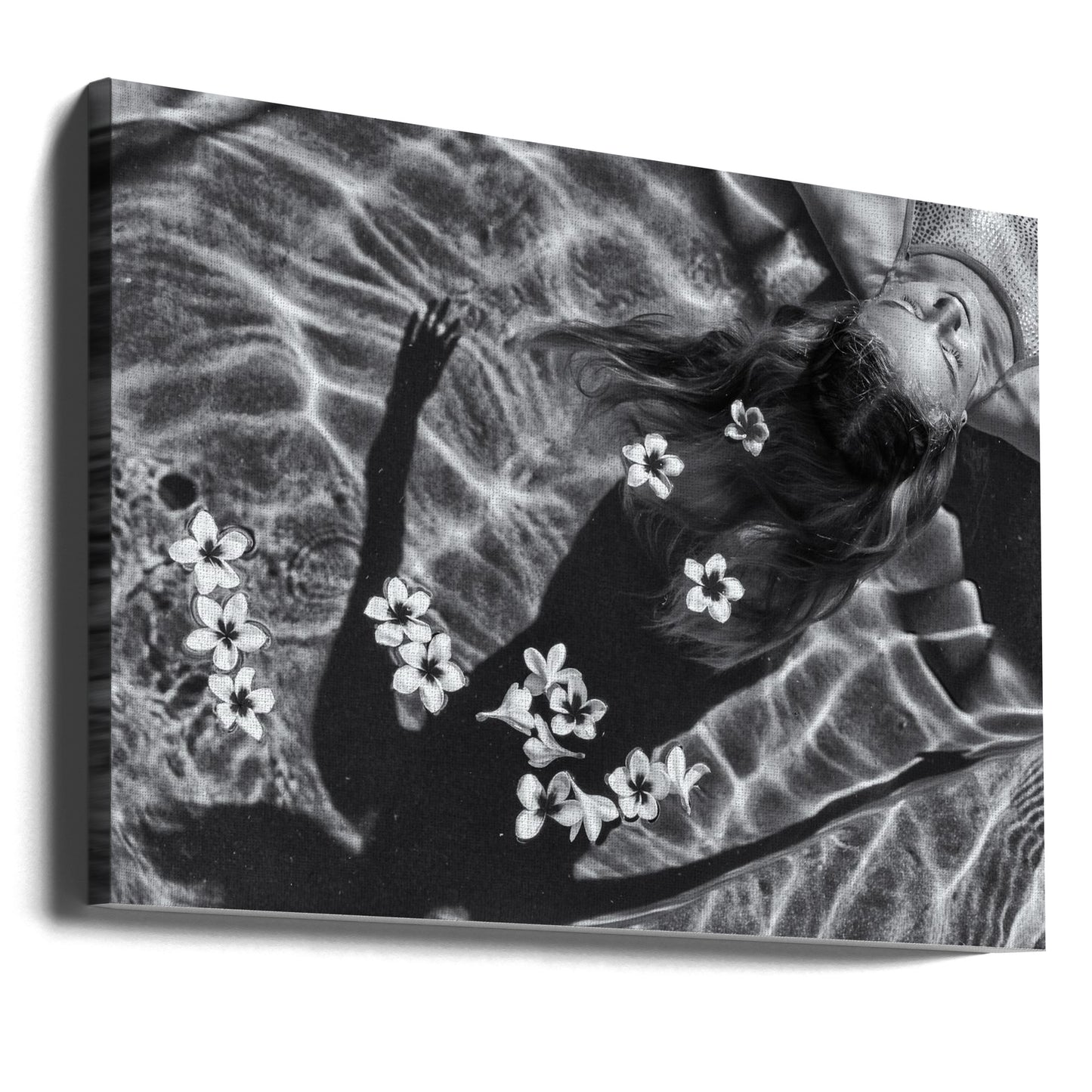arbre de frangipanier | Tableaux sur Toile