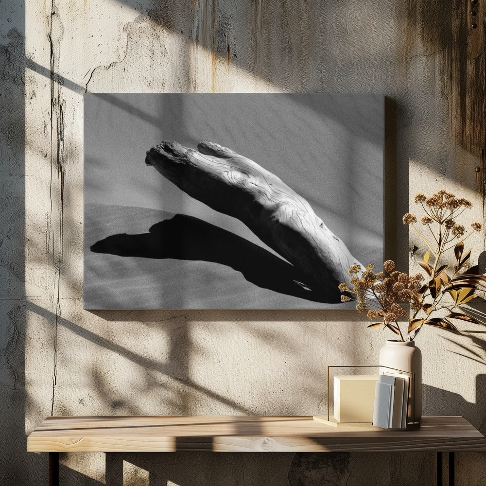 Derfor | Lerretsbilder