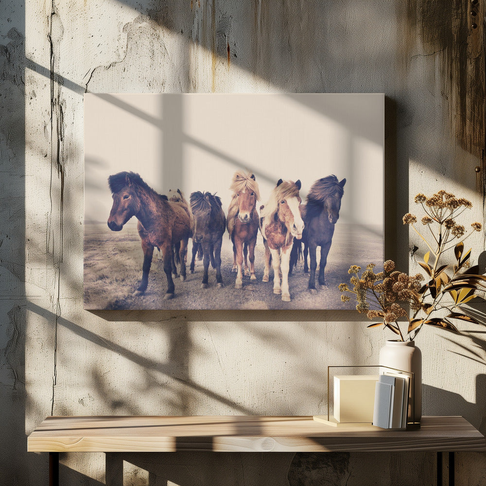 Hester | Lerretsbilder