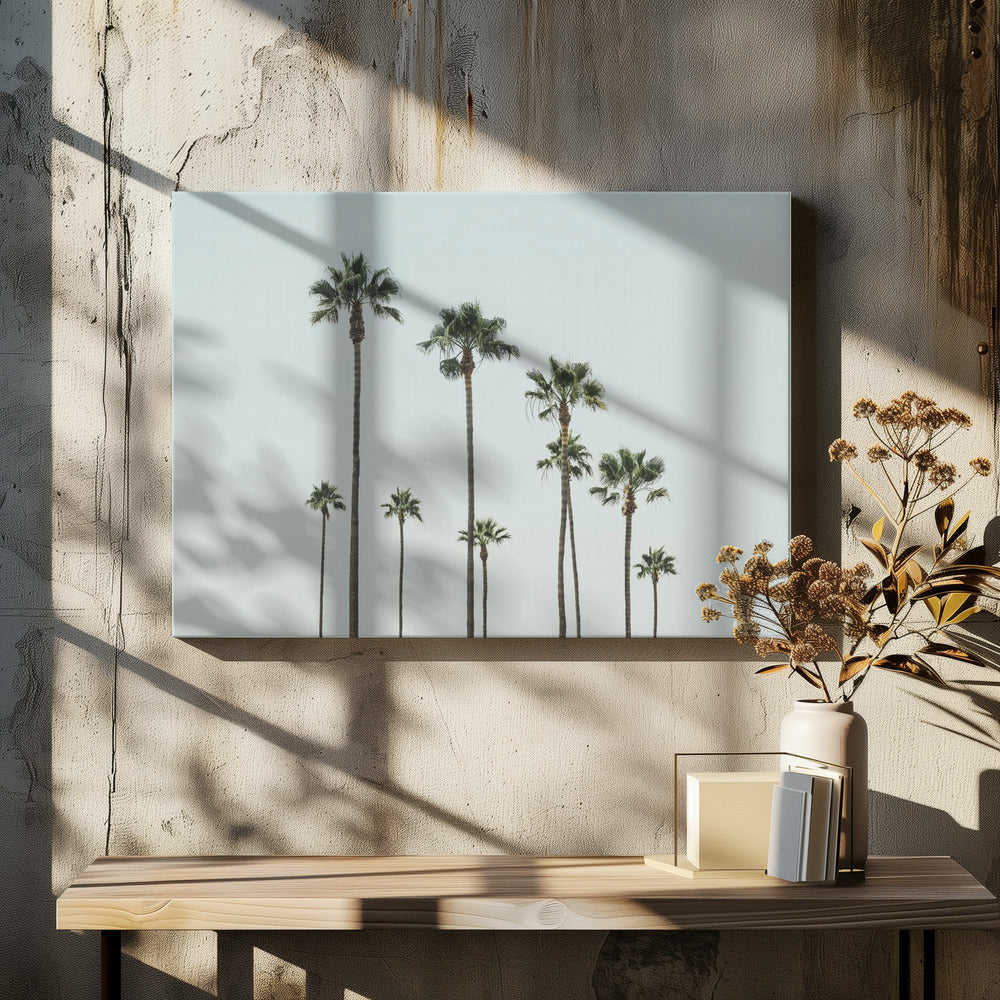 Cali Palms | Lerretsbilder