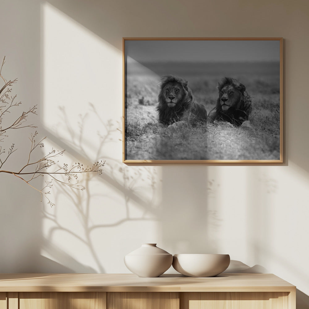 Deux rois | Posters - Affiche Artistique