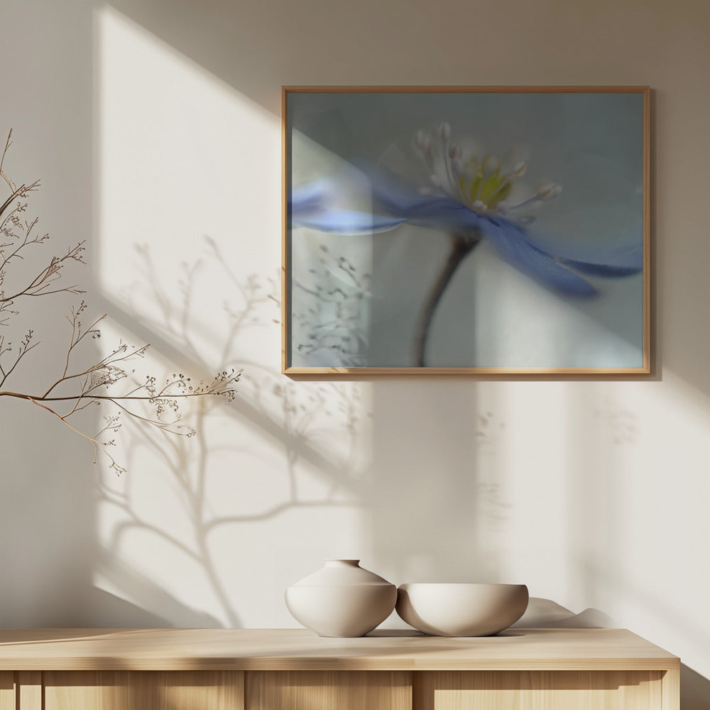 Tanzende Anemonen | Poster - Kunstdruck