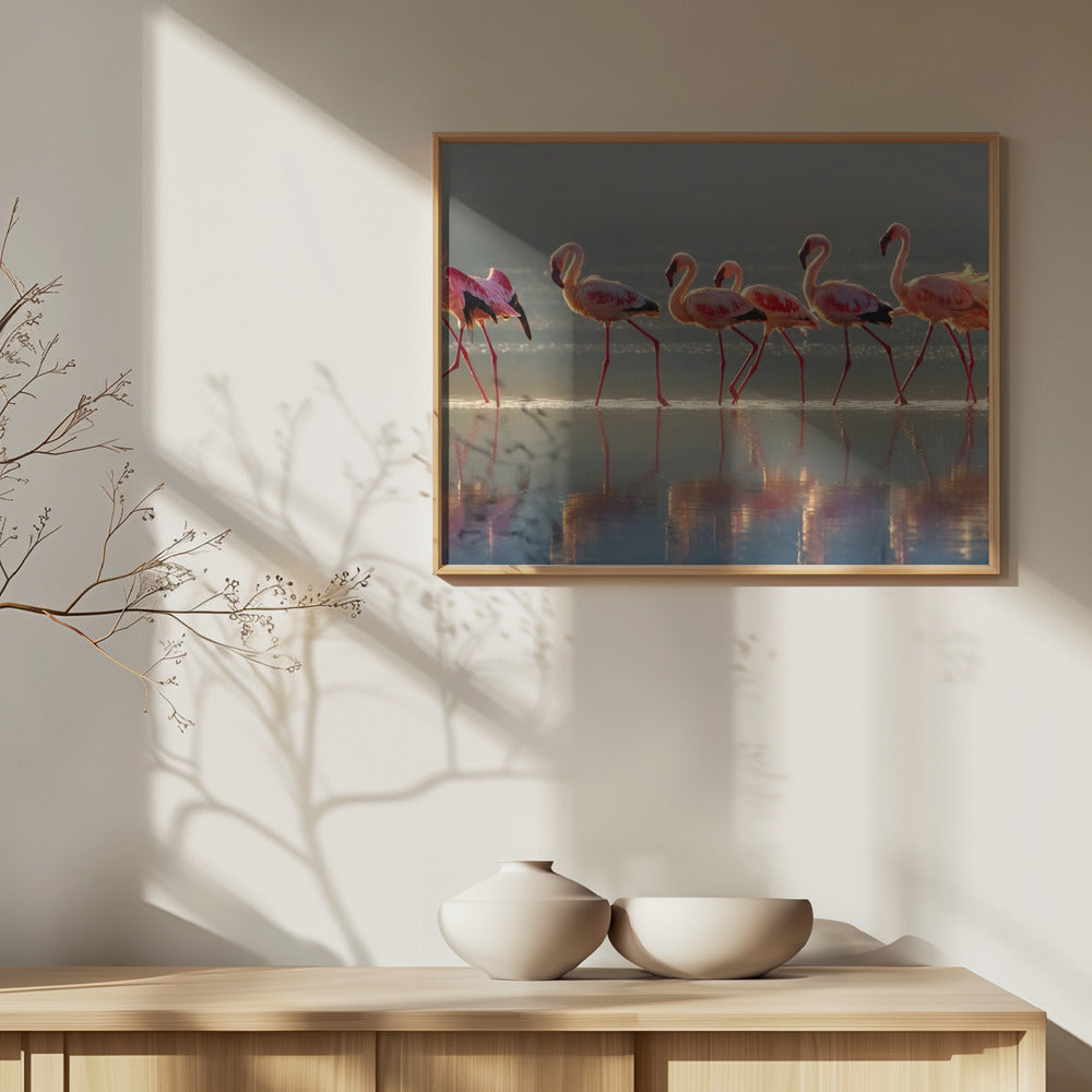 Flamingo | Plakater - Kunsttryk