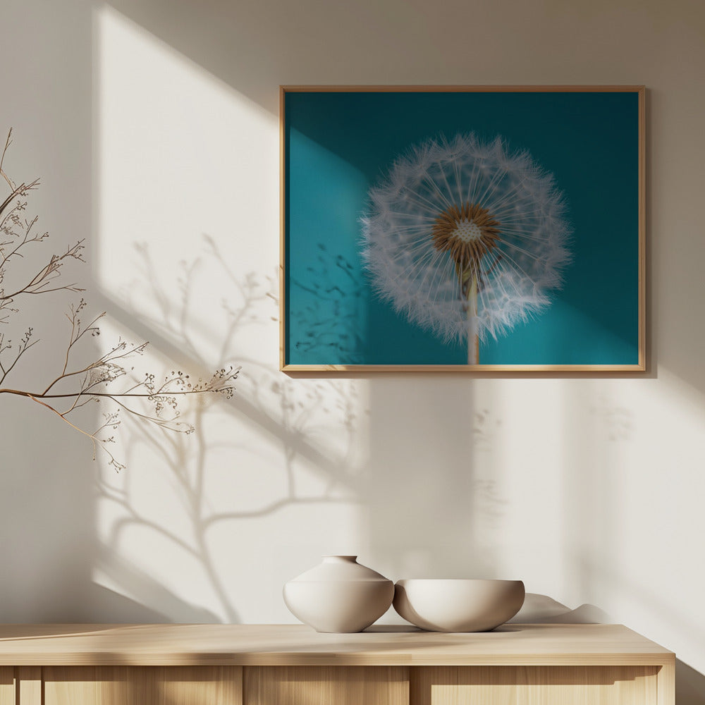 Tarassaco | Poster - Stampe d’Arte
