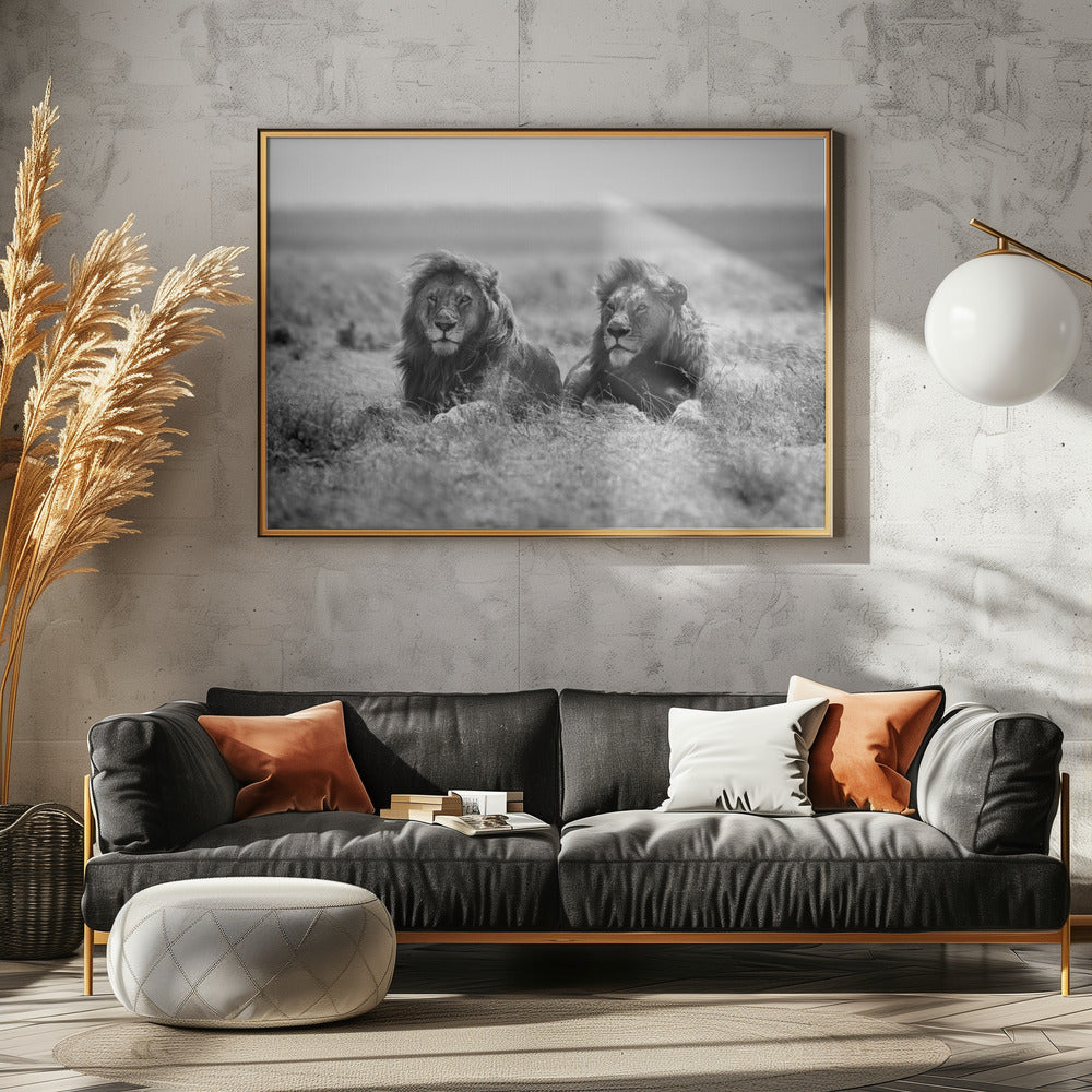 Deux rois | Posters - Affiche Artistique