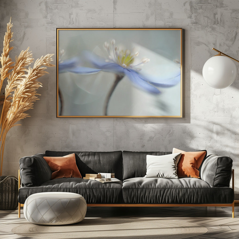 Tanzende Anemonen | Poster - Kunstdruck