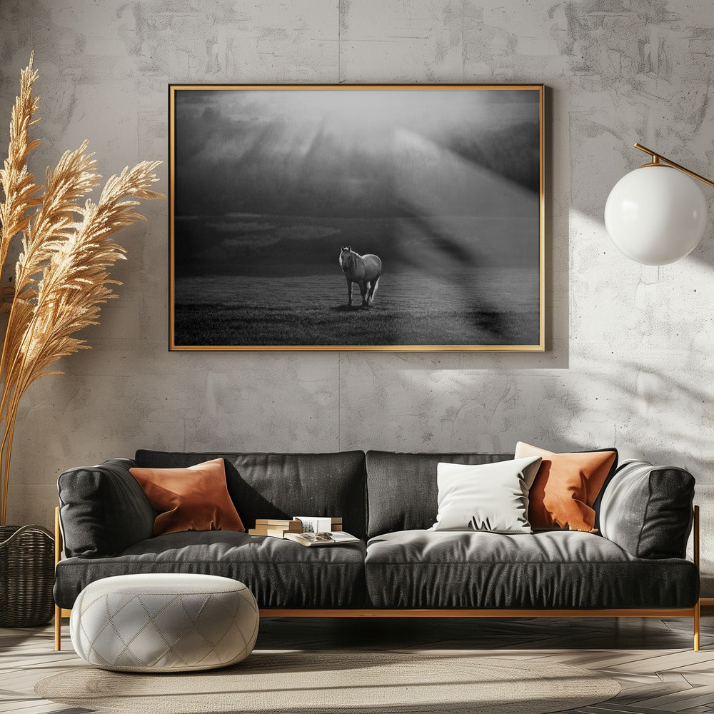 aspetto mattutino | Poster - Stampe d’Arte