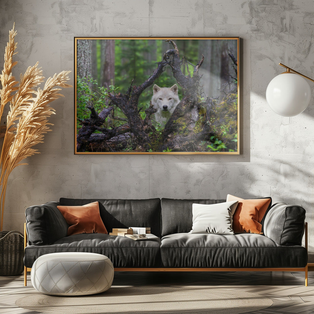 Wolf | Poster - Kunstdruck
